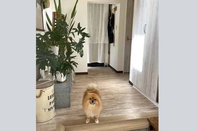 I様邸 玄関リニューアル・広々明るい玄関スペースになりました ワンちゃんもごきげん！